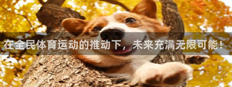 bbin视讯下