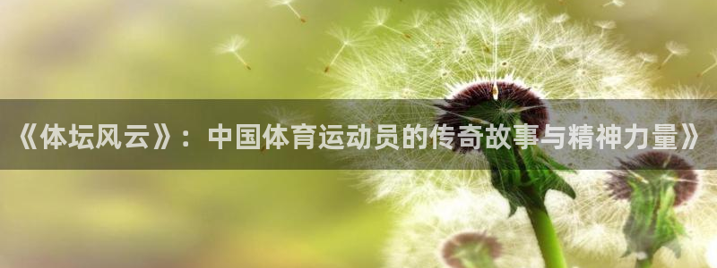 bbin视讯游戏官网