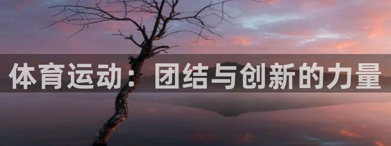 bbin视讯下