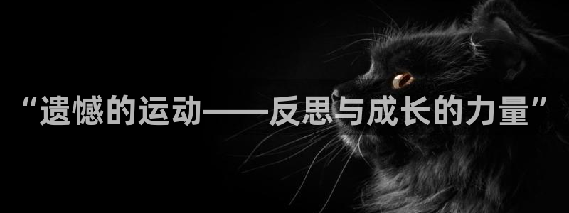 bbin视讯游戏平台