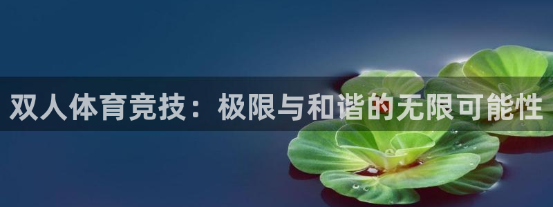 bbin视讯游戏平台