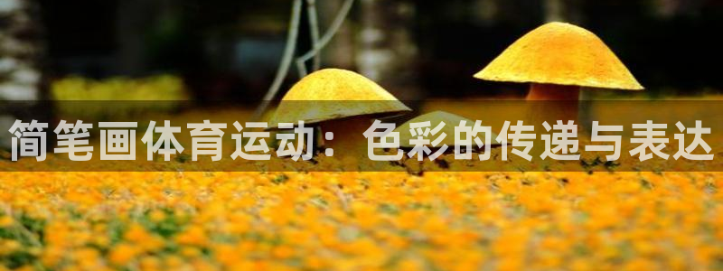 bbin视讯下