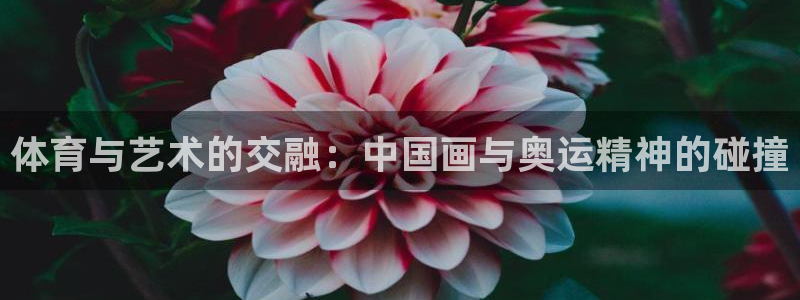 bbin视讯游戏官网