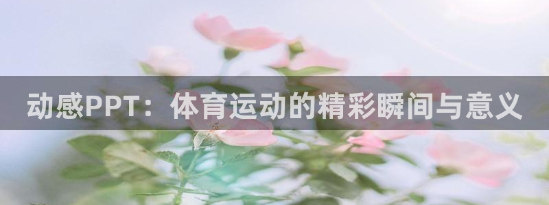 bbin视讯下
