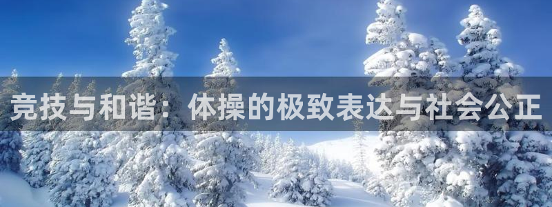 bbin视讯下