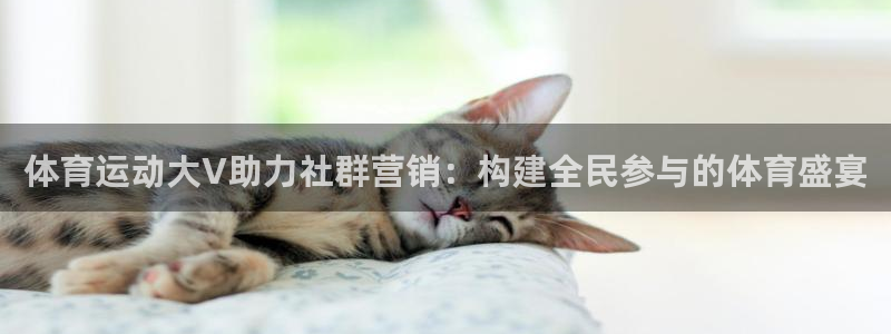 bbin视讯下